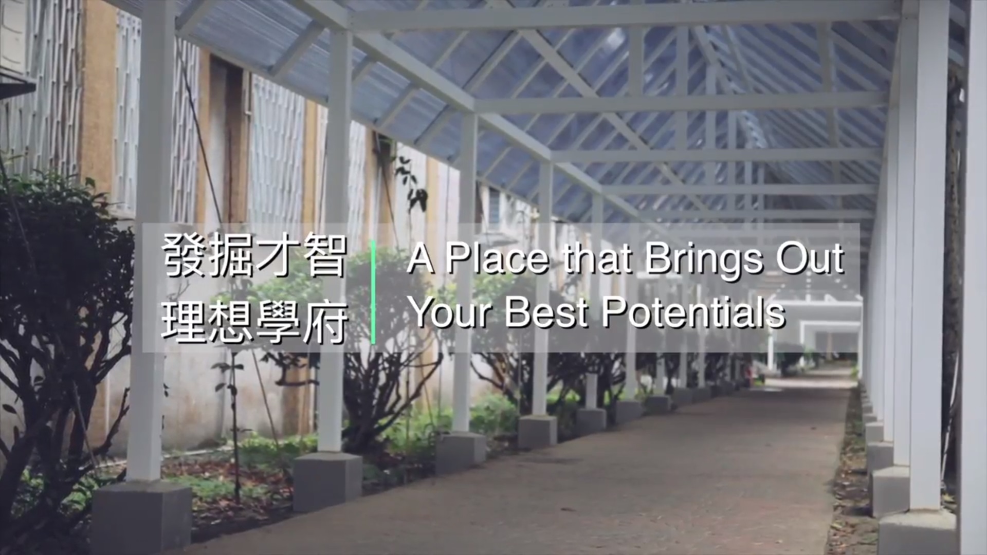 香港澳大利亞伍倫貢書院/香港城市大學專上學院 國際學程介紹